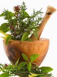 Pin Di Tanaman Obat Alami Tradisional