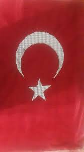 Bilsin Deliduman Adli Kullanicinin Yeni Modeller Panosundaki Pin Kanavice Bayrak Kelebekler