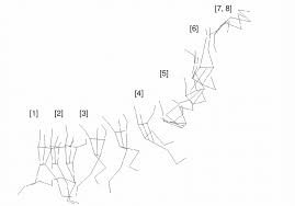 46,363 likes · 113 talking about this. Differentes Phases D Un Saut A La Perche Download Scientific Diagram