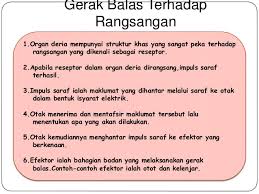 Rangsangan dan gerak balas dalam manusia. Sains Tingkatan 2 Organ Deria Dan Deria Sentuh