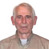 David L. Cella Jr. Obituary