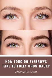 @hollymayo_ wears the thick halo in col. How Long Do Eyebrows Take To Fully Grow Back Up On Beauty In 2021 Doing Eyebrows Growing Out Eyebrows How To Grow Eyebrows