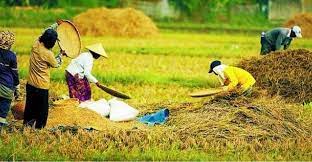 Tugasan geografi pt3 2015 : Kegiatan Ekonomi Adalah Pengertian Jenis Contoh Kegiatan Ekonomi