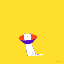 Cone Of Shame Whimsical Cats Cat Art Animation