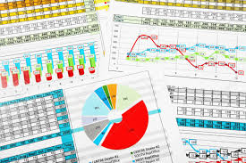 Multicolor Business Pie Chart And Bar Graph Reports