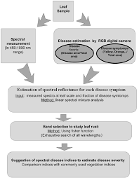 Flowchart For Extraction Of Wheat Leaf Rust Disease