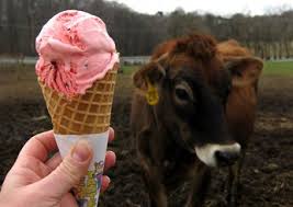 Best Ice Cream Spots In The U S Best Ice Cream Peanut Butter Jelly Ice Cream Ice Cream