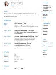 Horeca Cv Voorbeeld Gratis Downloaden Sollicitatiecursus Com