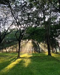 Hotels near setia city convention centre. Taman Eko Rimba Desa Park City And More Parks To Visit