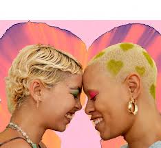 Access Plan For Two-Spirit, Trans and Non-Binary Youth