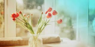 Warum lohnt sich der abschluss einer glasversicherung und glasbruchversicherung? Glasbruchversicherung Wann Lohnt Sie Sich Huk24