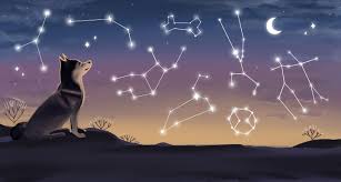 We did not find results for: Dog Zodiac Signs What Your Dogs Astrology Signs Says About Their Personality Bechewy