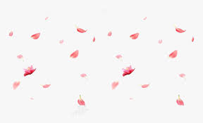 Download transparent cherry blossom png for free on pngkey.com. Transparent Cherry Blossom Petals Falling Png Rose Png Download Kindpng