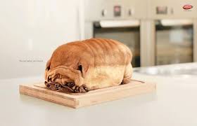 100 Photo Manipulation Tutorials For Photoshop Cute Animals Funny Animals Dog Bread