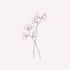 Free Free 122 Sweet Pea Clip Art Svg SVG PNG EPS DXF File