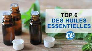 Epingle Sur Huile Essensielle