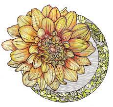 Line Drawing Flowers Orange Dahlia Stained Glass Flowers Flower Drawing Drawings