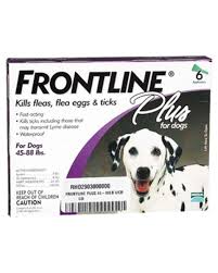 Frontline Plus 6 Dose