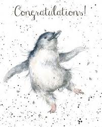 Penguin Congratulations Card Wrendale Designs Etsy Watercolor Animals