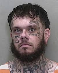 32-year-old WILLIAM STALEY from BELLEVIEW was booked