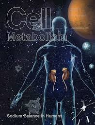 Study On Effects Of Deep Space Travel Reveals Sodium Rhythm Cycle Of The Human Body Space Travel Cell Cover Deep Space