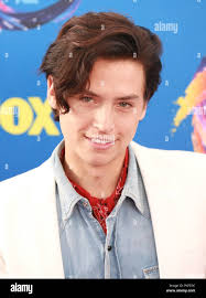 Celebrities attend Teen Choice Awards 2018 at The Forum. Featuring: Cole  Sprouse Where: Beverly Hills, California, United States When: 12 Aug 2018  Credit: Brian To/WENN.com Stock Photo