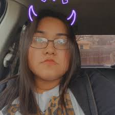 Where to get a Stearman checkout near DFW?