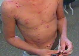 Sociedade Medica De Muriae