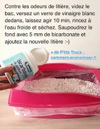 Marre Des Odeurs De Litiere Utilisez Ce Truc Pour Vous En Debarrasser Une Bonne Fois Pour Toute Truc Odeur Trucs Et Astuces