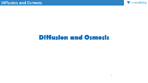 Diffusion And Osmosis In Hindi Hindi Cell The Fundamental Unit Of Life Ncert Biology Class 9 Unacademy