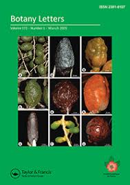 Image result for Abrodictyum rigidum