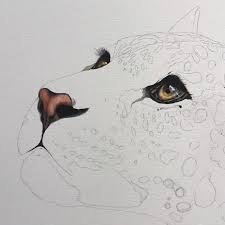 How To Draw Animal For Beginners Face Drawing Tutorial Painting Drawing Cartoon Faces Animal Drawings Colorful Drawings