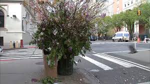 Hours may change under current circumstances Coronavirus Nyc Designer S Flower Flash Brighten Up Manhattan Streets Abc7 New York