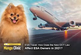 Esa Travel How Does The New Dot Law Affect Esa Owners In 2021
