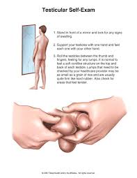 Signs, symptoms, treatments and how to check your testicles. Causes Diagnosis Treatment For Testicular Cancer