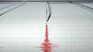 Temblor Un Sismo Estremecio Varias Regiones Del Pais Este Miercoles Venezuela Temblor Chile Y Argentina