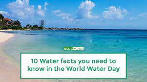 Daniel is a writer who focuses on blogging about happiness and motivation at lifehack. 10 Interesting Facts About Water You Need To Know Blog Xcaret