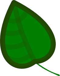 Download Cartoon Jungle Leaf Free Cartoon Leaf Full Size Png Image Pngkit Jungle animals jungle leaves jungle leaf jungle vines jungle plant jungle plants. cartoon jungle leaf free cartoon leaf