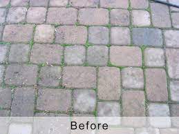 This provides excellent video instructions. How To Clean Patio Brick