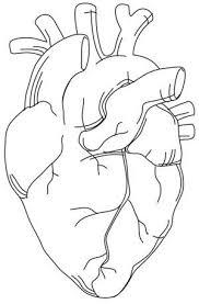 Heart Drawing Drawing Tips Drawing Heart Drawingtips Heart Drawing Embroidery Hearts Anatomical Heart Drawing
