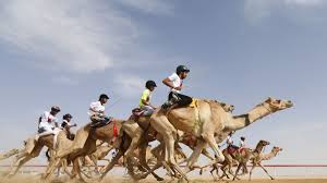Vets in major metropolitan areas tend to make more money but must also take into account the higher cost of living. Camel Racing The Multi Million Dollar Industry Mixing Modernity And Tradition Cnn