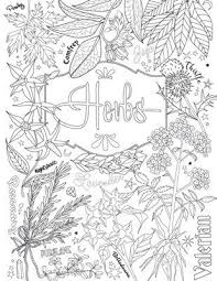 Pin By Maria On Coloring Witch Coloring Pages Coloring Books Book Of Shadows