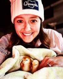 Ruby and Tink. #babychicks #chickens #chickentherapy #chickenmom  #crazychickenlady #winterchicks