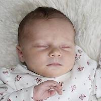 Ehre für die winsun AG