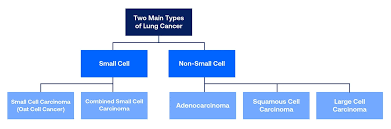 Last stage of lung cancer symptoms related to brain metastases may include seizures, headaches, speech problems, weakness and other neurological symptoms. Lung Cancer Basics American Lung Association