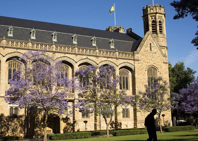 「The University of Adelaide」的圖片搜尋結果"