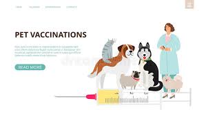 Check spelling or type a new query. Pet Vaccination Stock Illustrations 1 301 Pet Vaccination Stock Illustrations Vectors Clipart Dreamstime