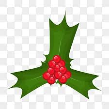 Most have a mounded habit, reaching 4 to 8 feet tall. Holly Leaf Decoration Christmas Png Element Sweety Pack Green Abstract Red Berry Png And Vector With Transparent Background For Free Download Leaf Decor Christmas Holly Decorations Holly Decorations