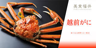 ふくいドットコム