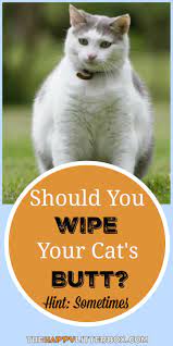 Pin On The Happy Litter Box